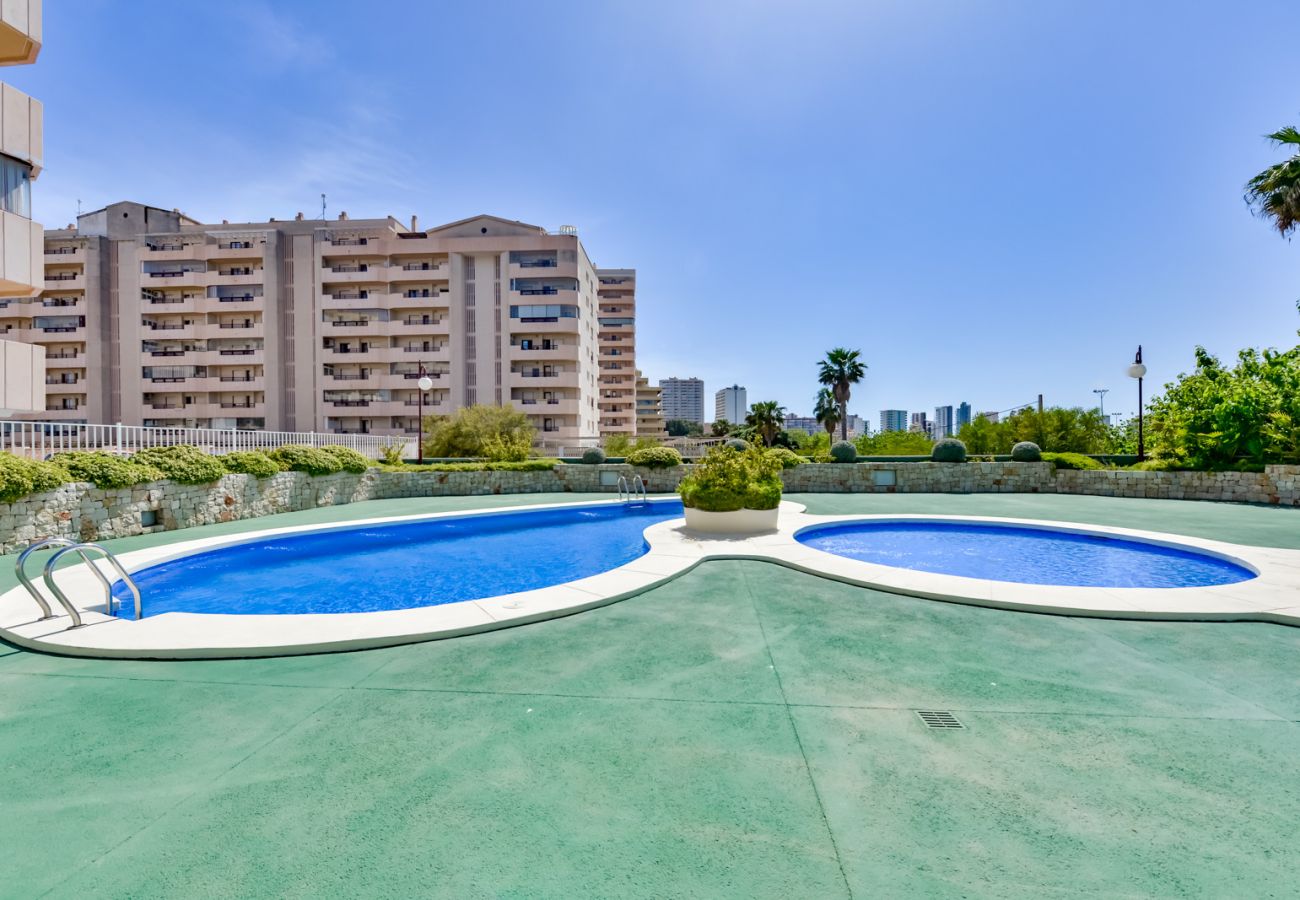 Ferienwohnung in Calpe / Calp - Apartment Beachfront 36 Calpe